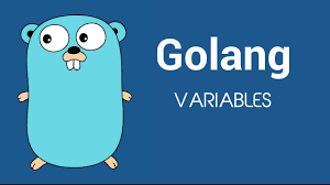 Variables In GO - Simplified Learning